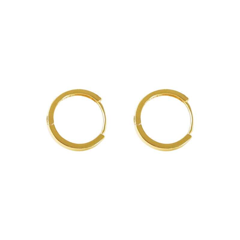 Gold Earrings NO.C60