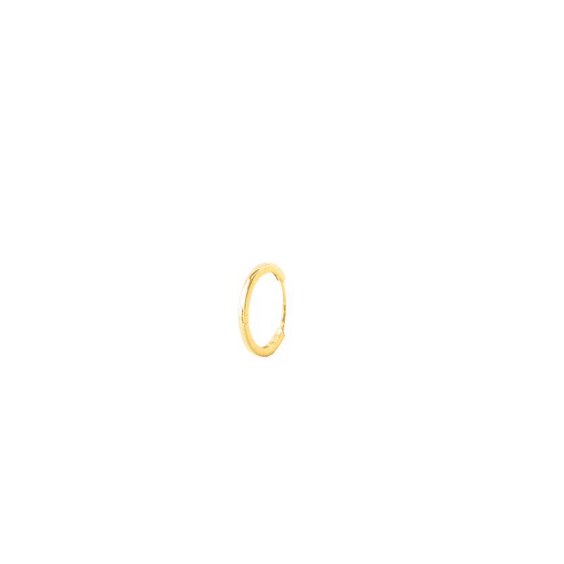 Gold Earrings NO.C60