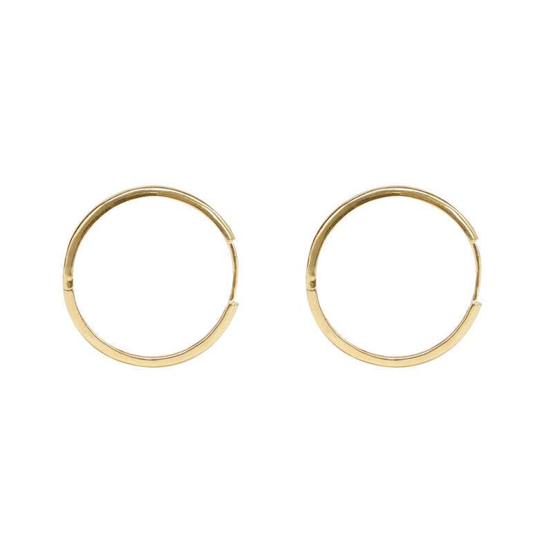 Vegan Earrings NO.C69