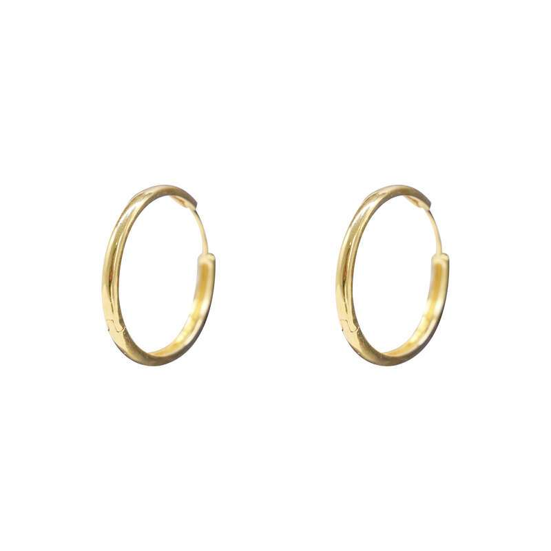 Vegan Earrings NO.C69