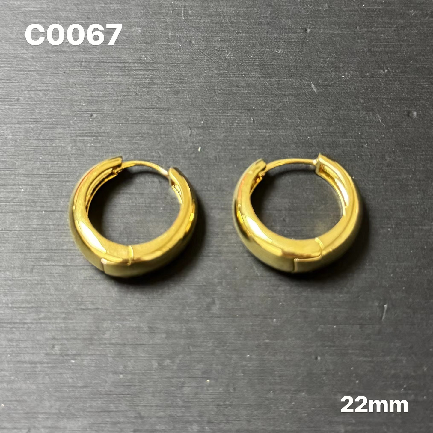 C67 Earrings