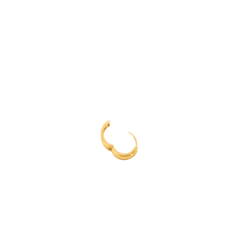 Gold Earrings NO.C60